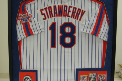 Custom Framed Professional Baseball Jersey
