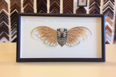 Shadowbox Frame Example