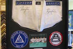 Jiu-Jitsu shadowbox